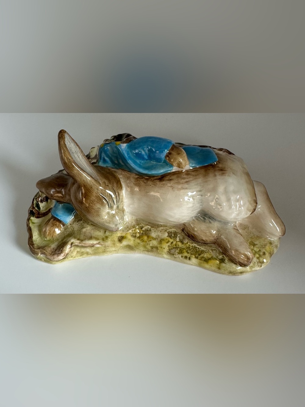 Royal Albert Beatrix Potter “Peter In The Gooseberry Net”